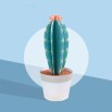 Les petits cactus