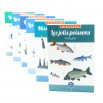 Les jolis poissons